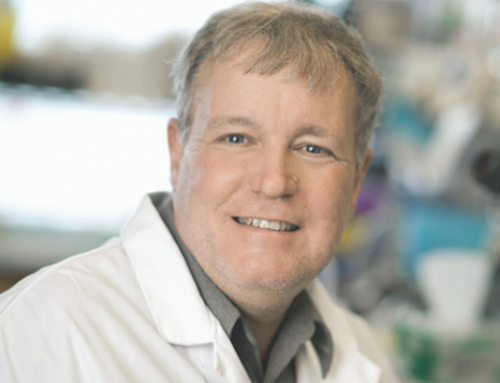 Growing mini-organs to study brain development and disease