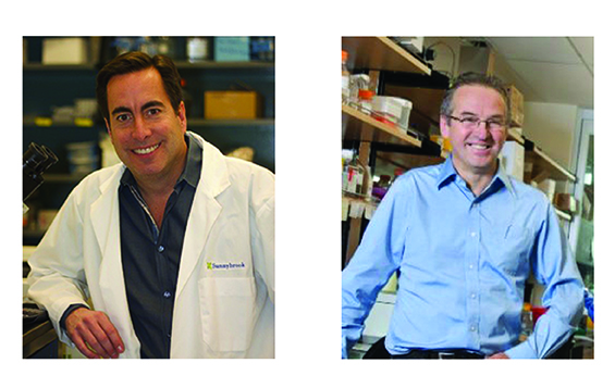 Researchers