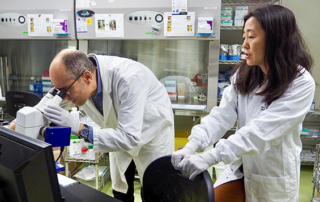 Researchers in lab