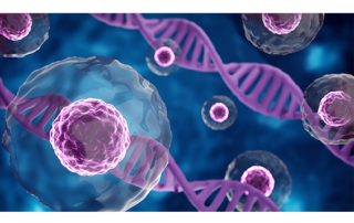 cell image